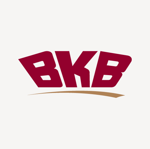 Security Component Suppliers - CCTV Installation, Access Control & Surveillance Systems bkb sm AI Security Solutions - Security Component Suppliers